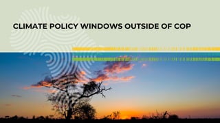 Enhancing farmer engagement in climate policy and COP27