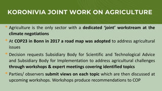 Enhancing farmer engagement in climate policy and COP27