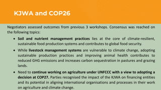 Enhancing farmer engagement in climate policy and COP27