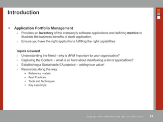 Application Portfolio Management | PDF
