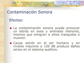 Contaminación Sonora

Efectos:

  La contaminación sonora puede provocar
  un estrés en aves y animales menores,
  mismos que emigran a sitios tranquilos o
  mueren.
  Causa estrés en el ser humano y en
  niveles mayores a 120 dB produce daños
  serios en el sistema auditivo.
 