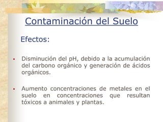 Contaminación del Suelo
Efectos:

Disminución del pH, debido a la acumulación
del carbono orgánico y generación de ácidos
orgánicos.

Aumento concentraciones de metales en el
suelo en concentraciones que resultan
tóxicos a animales y plantas.
 