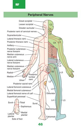 [] Medical notes_clinical_medicine_pocket_guide | PDF