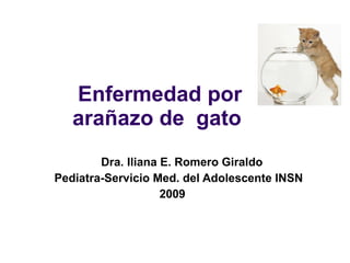 Enfermedad por arañazo de  gato  Dra. Iliana E. Romero Giraldo Pediatra-Servicio Med. del Adolescente INSN  2009 