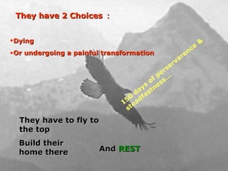 They have 2 Choices ： They have to fly to the top 150 days of perservarence &  steadfastness... Dying   Or undergoing a painful transformation Build their home there And  REST 