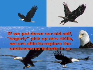 If we put down our old self, “eagerly” pick up new skills, we are able to explore the undiscovered talents in us 