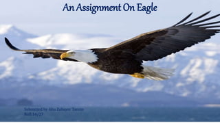 An Assignment On Eagle
Submitted by Abu Zubayer Tanzin
Roll:14/27
 