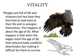 VITALITY
Eagles are full of life and
visionary but hey have they
find time to look back at
their life and re-energies
themselves. This happens at
about the age of 30. What
happens is that when the
eagles reach the age of 30,
their physical body condition
deteriorates fast making it
difficult for them to survive.
 