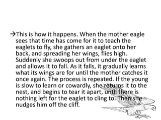 This is how it happens. When the mother eagle
sees that time has come for it to teach the
eaglets to fly, she gathers an eaglet onto her
back, and spreading her wings, flies high.
Suddenly she swoops out from under the eaglet
and allows it to fall. As it falls, it gradually learns
what its wings are for until the mother catches it
once again. The process is repeated. If the young
is slow to learn or cowardly, she returns it to the
nest, and begins to tear it apart, until there is
nothing left for the eaglet to cling to. Then she
nudges him off the cliff.
 