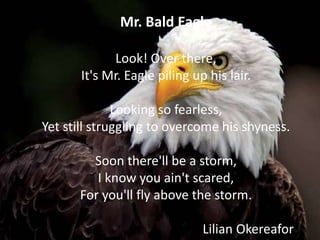 Mr. Bald Eagle
Look! Over there,
It's Mr. Eagle piling up his lair.
Looking so fearless,
Yet still struggling to overcome his shyness.
Soon there'll be a storm,
I know you ain't scared,
For you'll fly above the storm.
Lilian Okereafor
 