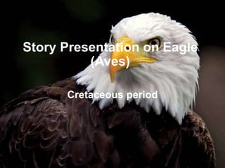 How Sharp are an Eagle's Eyes?, NOVA
