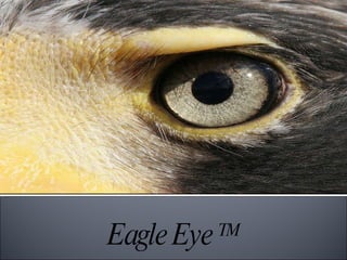 Eagle Eye  TM 