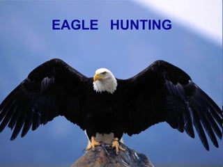 EAGLE  HUNTING 