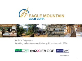 1
Gold in Guyana –
Working to become a mid-tier gold producer in 2014.
February 2013
 
