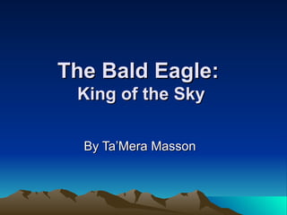 The Bald Eagle:  King of the Sky By Ta’Mera Masson 