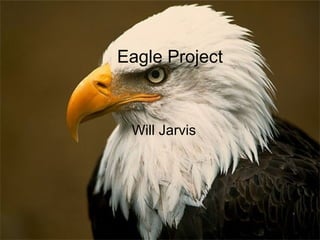 Eagle Project   Will Jarvis  