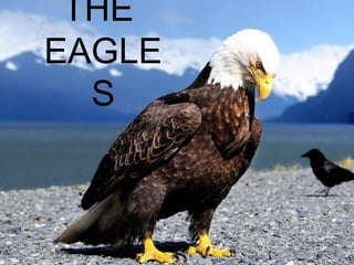 THE
EAGLE
S

 