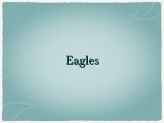 EaglesEagles
 