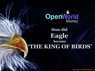 www.openworldmoney.com 
 