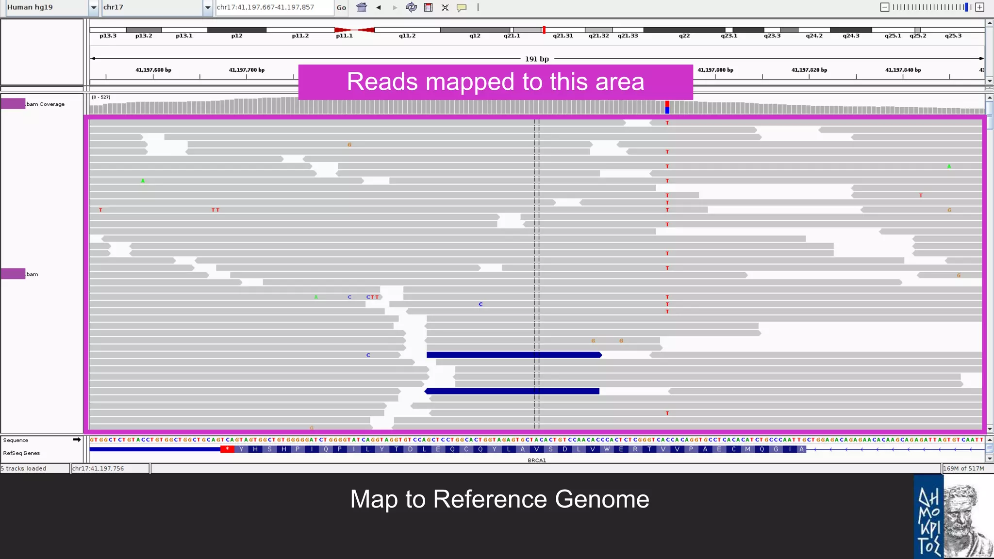 Bioinformatics tools for NGS data analysis | PPTX