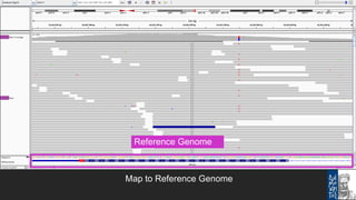 Bioinformatics tools for NGS data analysis | PPTX