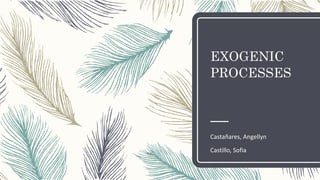 EXOGENIC
PROCESSES
Castañares, Angellyn
Castillo, Sofia
 