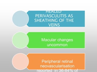 HEALED
PERIVASCULITIS AS
SHEATHING OF THE
VEINS
Macular changes
uncommon
Peripheral retinal
neovascularisation
reported in 36-84% of
 