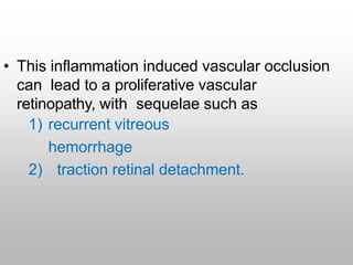 • This inflammation induced vascular occlusion
can lead to a proliferative vascular
retinopathy, with sequelae such as
1) recurrent vitreous
hemorrhage
2) traction retinal detachment.
 