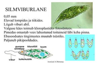 Samblad E Algloomad | PPT
