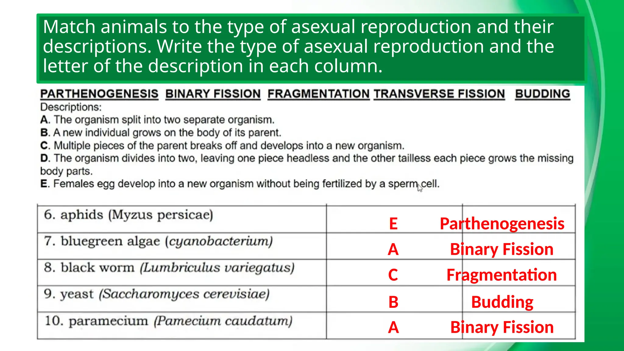 eals-q2-ppt2-perpetuation-of-life reprotduction | PPTX