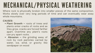 Tree Overtime EALS L4 Surface processes Weathering, Erosion and Deposition.pdf