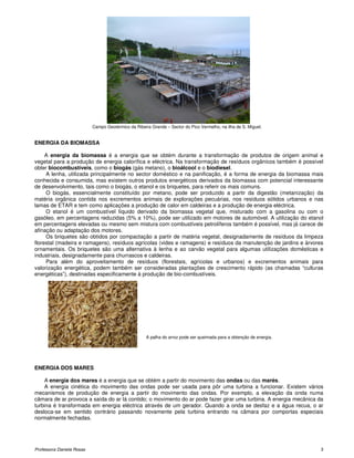 Campo Geotérmico da Ribeira Grande – Sector do Pico Vermelho, na ilha de S. Miguel.


ENERGIA DA BIOMASSA

     A energia da biomassa é a energia que se obtém durante a transformação de produtos de origem animal e
vegetal para a produção de energia calorífica e eléctrica. Na transformação de resíduos orgânicos também é possível
obter biocombustíveis, como o biogás (gás metano), o bioálcool e o biodiesel.
     A lenha, utilizada principalmente no sector doméstico e na panificação, é a forma de energia da biomassa mais
conhecida e consumida, mas existem outros produtos energéticos derivados da biomassa com potencial interessante
de desenvolvimento, tais como o biogás, o etanol e os briquetes, para referir os mais comuns.
     O biogás, essencialmente constituído por metano, pode ser produzido a partir da digestão (metanização) da
matéria orgânica contida nos excrementos animais de explorações pecuárias, nos resíduos sólidos urbanos e nas
lamas de ETAR e tem como aplicações a produção de calor em caldeiras e a produção de energia eléctrica.
     O etanol é um combustível líquido derivado da biomassa vegetal que, misturado com a gasolina ou com o
gasóleo, em percentagens reduzidas (5% a 10%), pode ser utilizado em motores de automóvel. A utilização do etanol
em percentagens elevadas ou mesmo sem mistura com combustíveis petrolíferos também é possível, mas já carece de
afinação ou adaptação dos motores.
     Os briquetes são obtidos por compactação a partir de matéria vegetal, designadamente de resíduos da limpeza
florestal (madeira e ramagens), resíduos agrícolas (vides e ramagens) e resíduos da manutenção de jardins e árvores
ornamentais. Os briquetes são uma alternativa à lenha e ao carvão vegetal para algumas utilizações domésticas e
industriais, designadamente para churrascos e caldeiras.
     Para além do aproveitamento de resíduos (florestais, agrícolas e urbanos) e excrementos animais para
valorização energética, podem também ser consideradas plantações de crescimento rápido (as chamadas “culturas
energéticas”), destinadas especificamente à produção de bio-combustíveis.




                                                     A palha do arroz pode ser queimada para a obtenção de energia.




ENERGIA DOS MARES

    A energia dos mares é a energia que se obtém a partir do movimento das ondas ou das marés.
    A energia cinética do movimento das ondas pode ser usada para pôr uma turbina a funcionar. Existem vários
mecanismos de produção de energia a partir do movimento das ondas. Por exemplo, a elevação da onda numa
câmara de ar provoca a saída do ar lá contido; o movimento do ar pode fazer girar uma turbina. A energia mecânica da
turbina é transformada em energia eléctrica através de um gerador. Quando a onda se desfaz e a água recua, o ar
desloca-se em sentido contrário passando novamente pela turbina entrando na câmara por comportas especiais
normalmente fechadas.




Professora Daniela Rosas                                                                                              3
 
