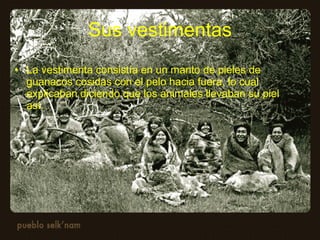 Sus vestimentas La vestimenta consistía en un manto de pieles de guanacos cosidas con el pelo hacia fuera, lo cual explicaban diciendo que los animales llevaban su piel así.