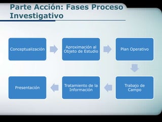 Parte Acción: Fases Proceso Investigativo