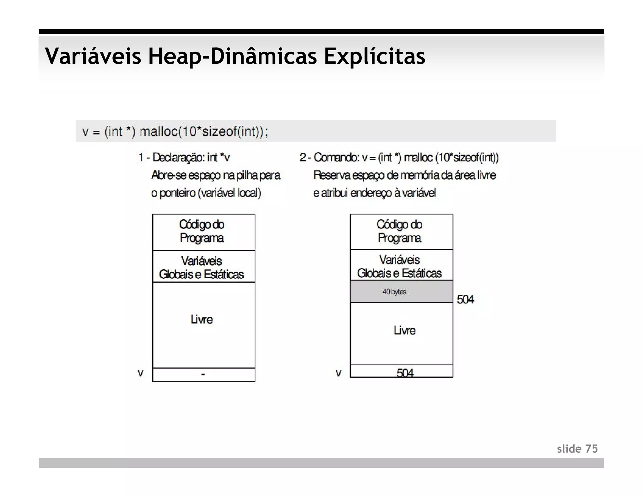 Variáveis Heap-Dinâmicas Explícitas




                                      slide 75
 