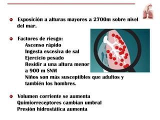 Exposición a alturas mayores a 2700m sobre nivel
del mar.

Factores de riesgo:
   Ascenso rápido
   Ingesta excesiva de sal
   Ejercicio pesado
   Residir a una altura menor
   a 900 m SNM
   Niños son más susceptibles que adultos y
   también los hombres.

Volumen corriente se aumenta
Quimiorreceptores cambian umbral
Presión hidrostática aumenta
 