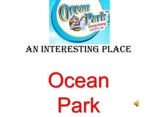 An Interesting Place Ocean Park 