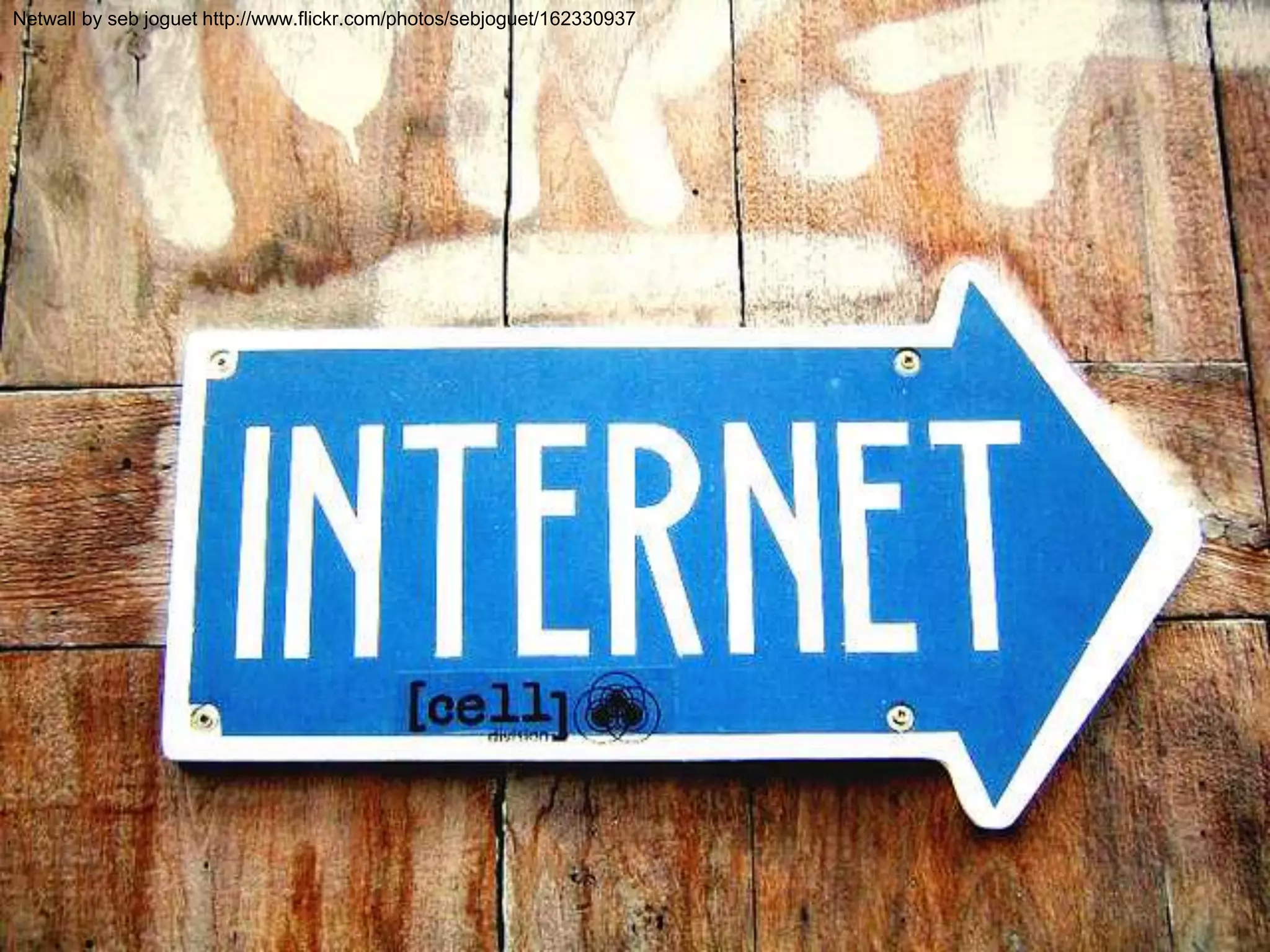 Netwall by seb joguet http://www.flickr.com/photos/sebjoguet/162330937

 