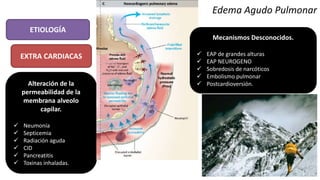 Edema Agudo Pulmonar
ETIOLOGÍA
EXTRA CARDIACAS
Alteración de la
permeabilidad de la
membrana alveolo
capilar.
 Neumonía
 Septicemia
 Radiación aguda
 CID
 Pancreatitis
 Toxinas inhaladas.
Mecanismos Desconocidos.
 EAP de grandes alturas
 EAP NEUROGENO
 Sobredosis de narcóticos
 Embolismo pulmonar
 Postcardioversión.
 