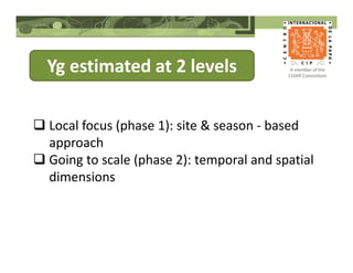 Yg estimated at 2 levels
Local focus (phase 1): site & season - based
approach
Going to scale (phase 2): temporal and spatial
dimensions
 