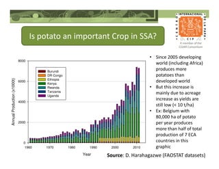 Is potato an important Crop in SSA?
Year
1960 1970 1980 1990 2000 2010
AnnualProduction(x1000t)
0
2000
4000
6000
8000
Burundi
DR Congo
Ethiopia
Kenya
Rwanda
Tanzania
Uganda
Source: D. Harahagazwe (FAOSTAT datasets)
• Since 2005 developing
world (including Africa)
produces more
potatoes than
developed world
• But this increase is
mainly due to acreage
increase as yields are
still low (< 10 t/ha)
• Ex: Belgium with
80,000 ha of potato
per year produces
more than half of total
production of 7 ECA
countries in this
graphic
 