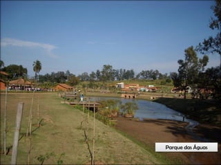 Circuitos Educadores