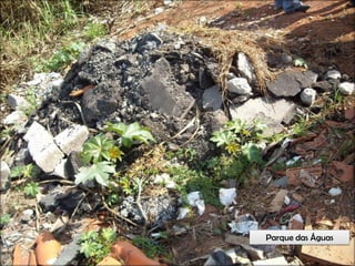 Circuitos Educadores