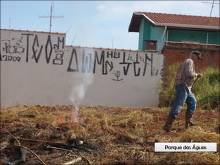 Circuitos Educadores