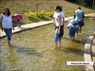 Circuitos Educadores