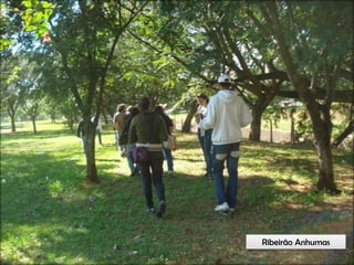 Circuitos Educadores