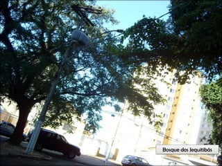 Circuitos Educadores