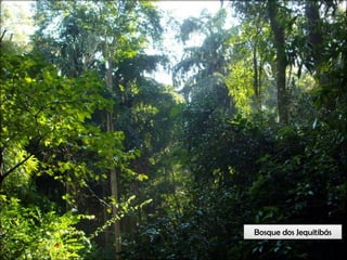 Circuitos Educadores