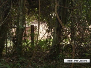 Circuitos Educadores