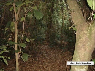 Circuitos Educadores